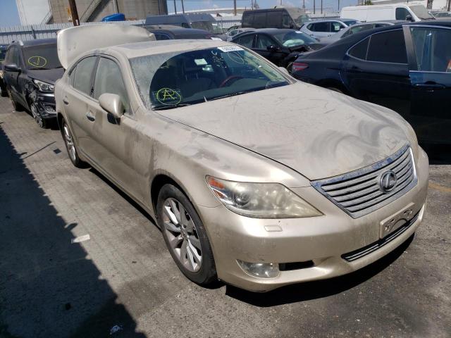 LEXUS LS 460 2011 jthbl5efxb5102811