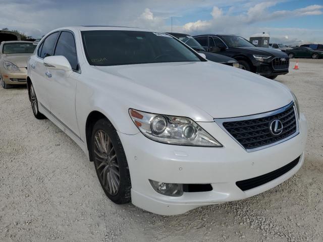 LEXUS LS 460 2011 jthbl5efxb5105353