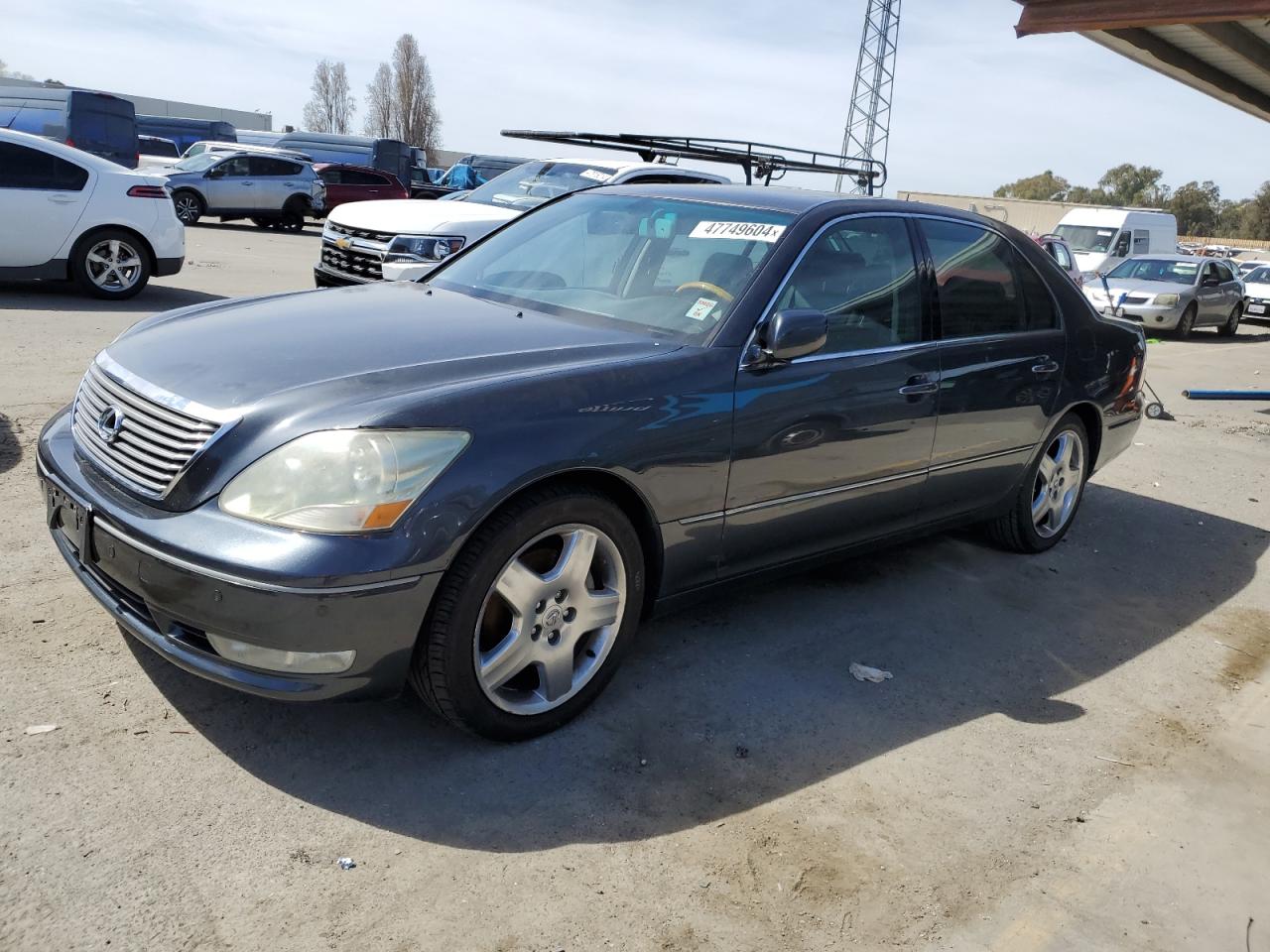 LEXUS LS 2005 jthbn36f155015946