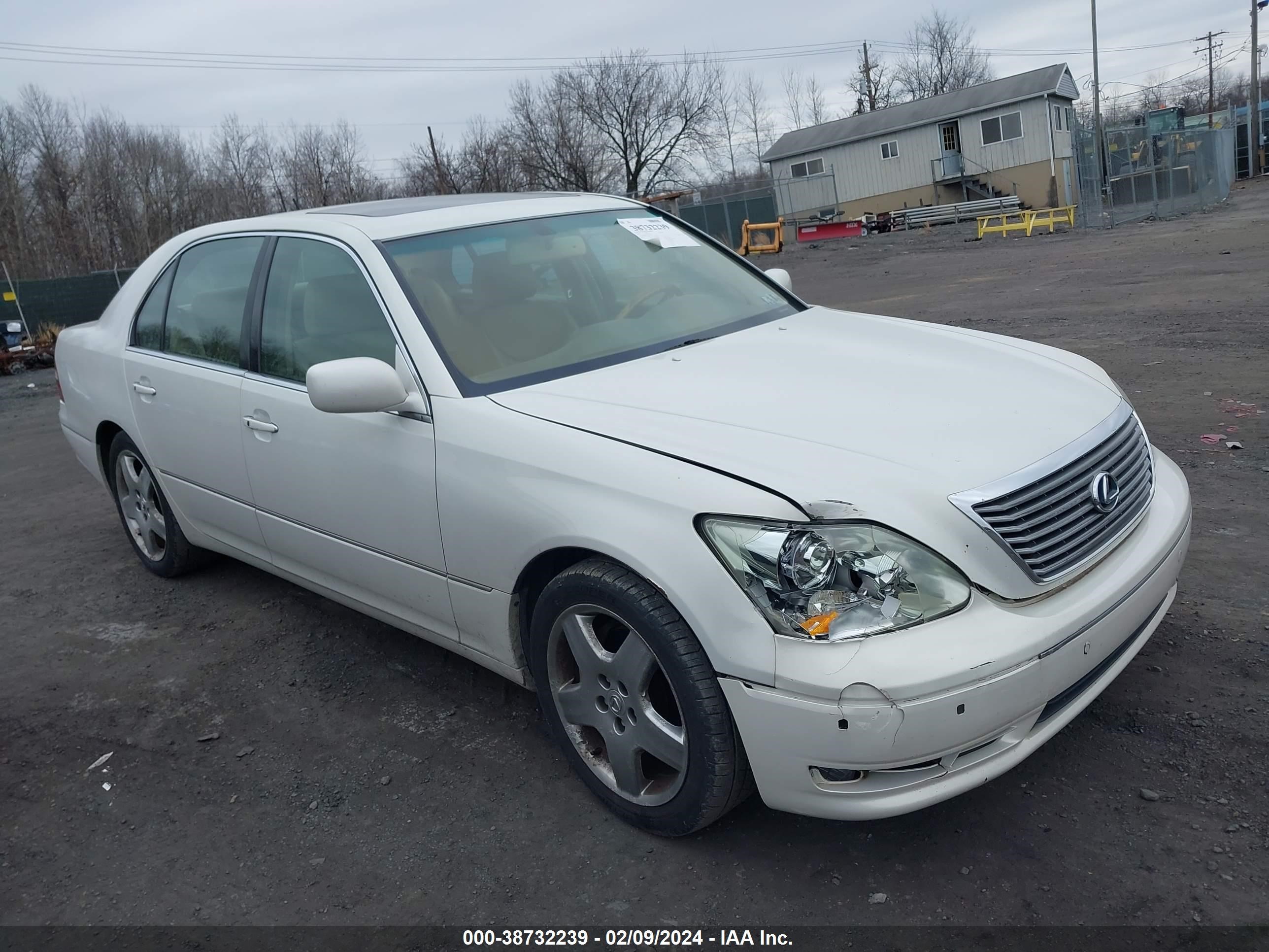 LEXUS LS 2005 jthbn36f855027477