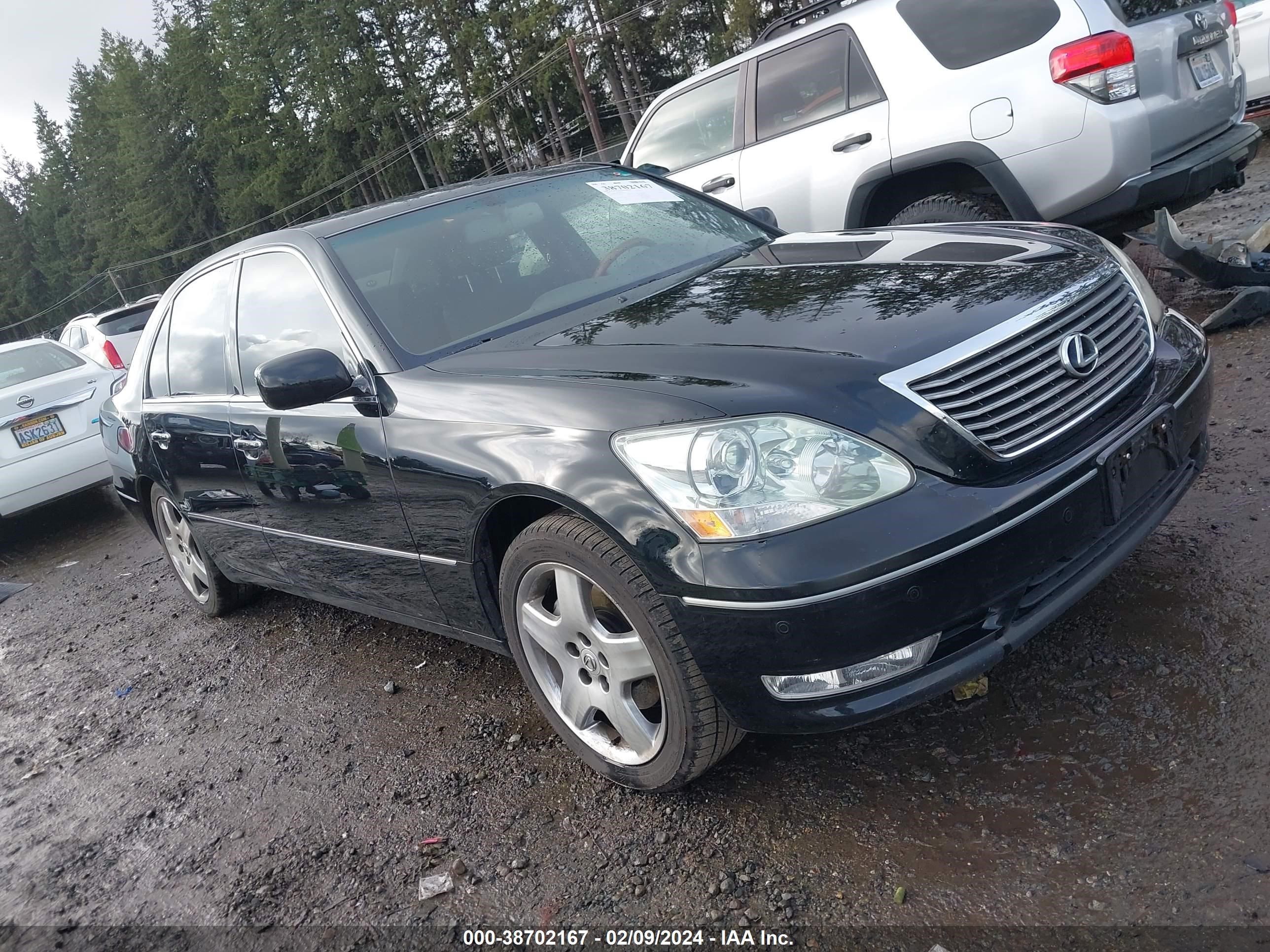 LEXUS LS 2006 jthbn36f865044104