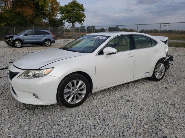 LEXUS ES300 2013 jthbw1gg0d2029362