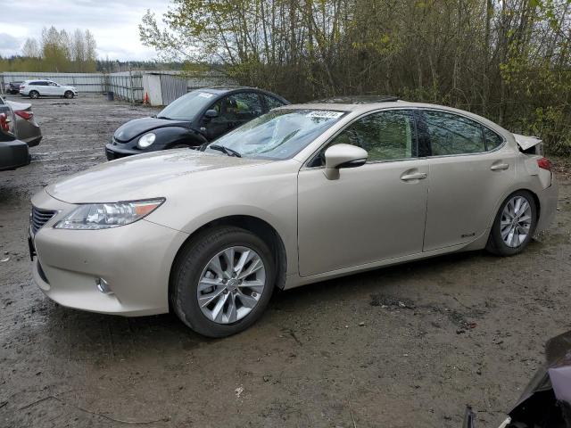 LEXUS ES300 2013 jthbw1gg2d2034692