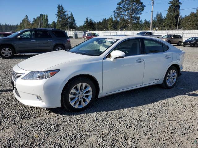 LEXUS ES 300H 2013 jthbw1gg3d2020378