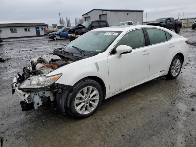 LEXUS ES300 2014 jthbw1gg6e2073156