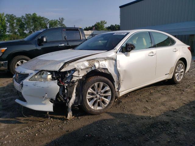 LEXUS ES300 2013 jthbw1gg9d2025908