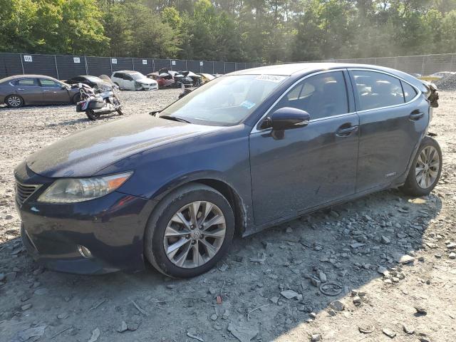 LEXUS ES300 2013 jthbw1gg9d2034351