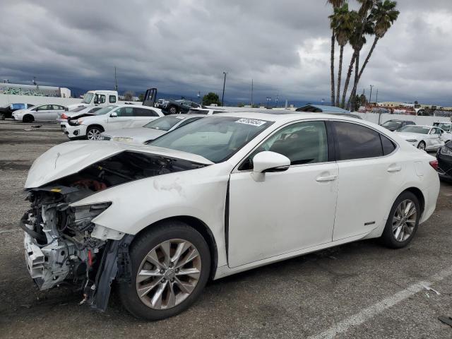 LEXUS ES300 2014 jthbw1ggxe2075489