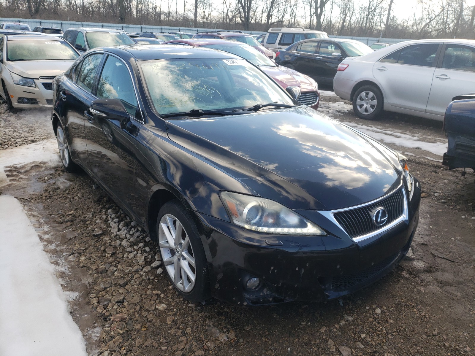 LEXUS IS 350 2011 jthce5c29b5000835