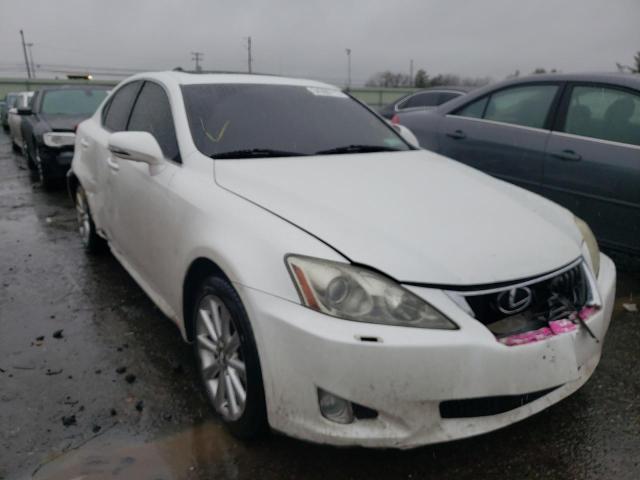 LEXUS IS250 2010 jthcf5c20a5042242