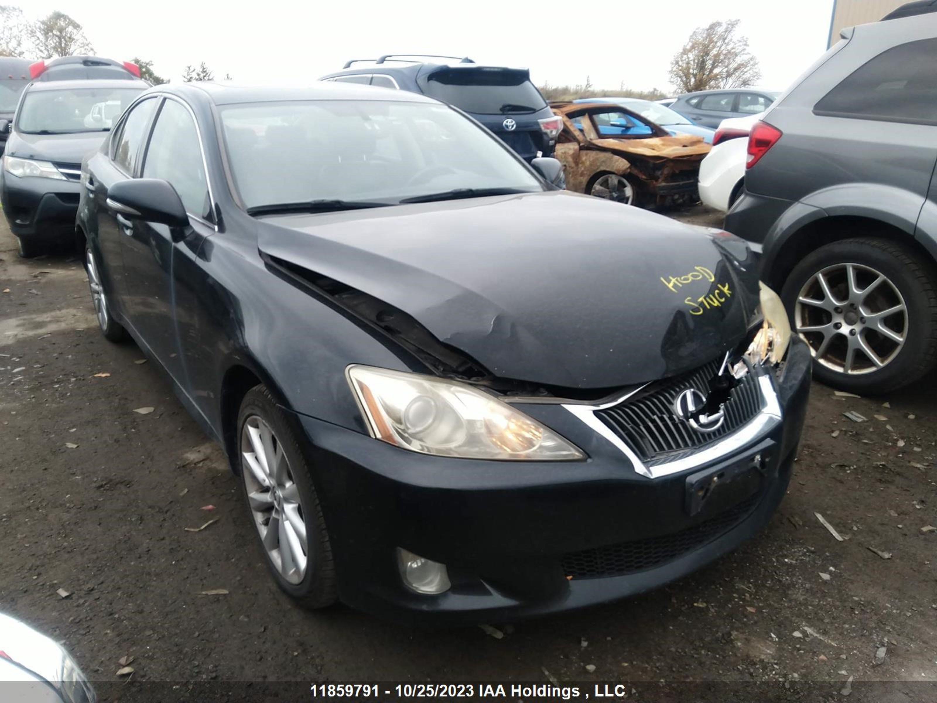 LEXUS IS 2010 jthcf5c26a5038275