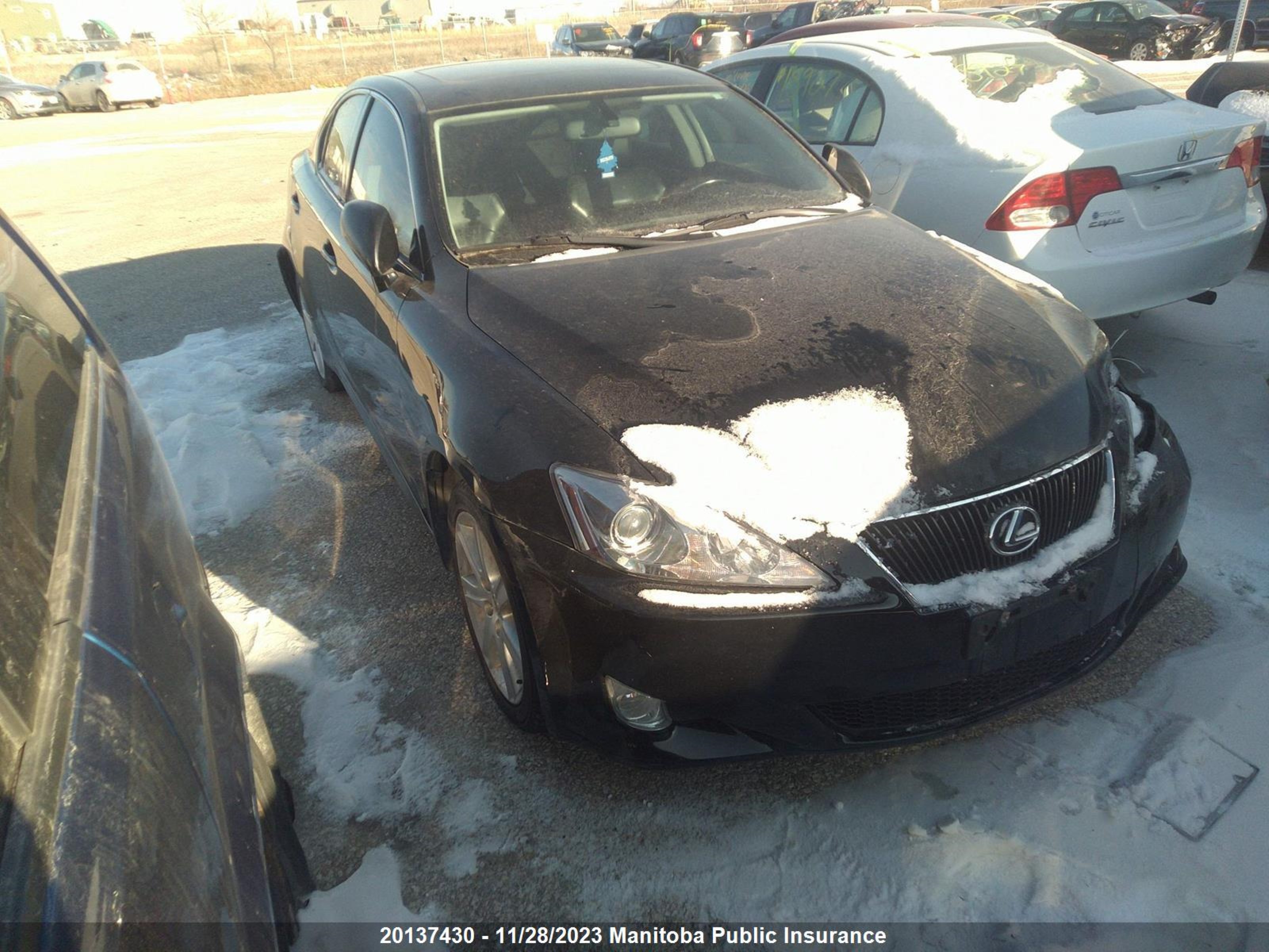 LEXUS IS 2008 jthck262082026303