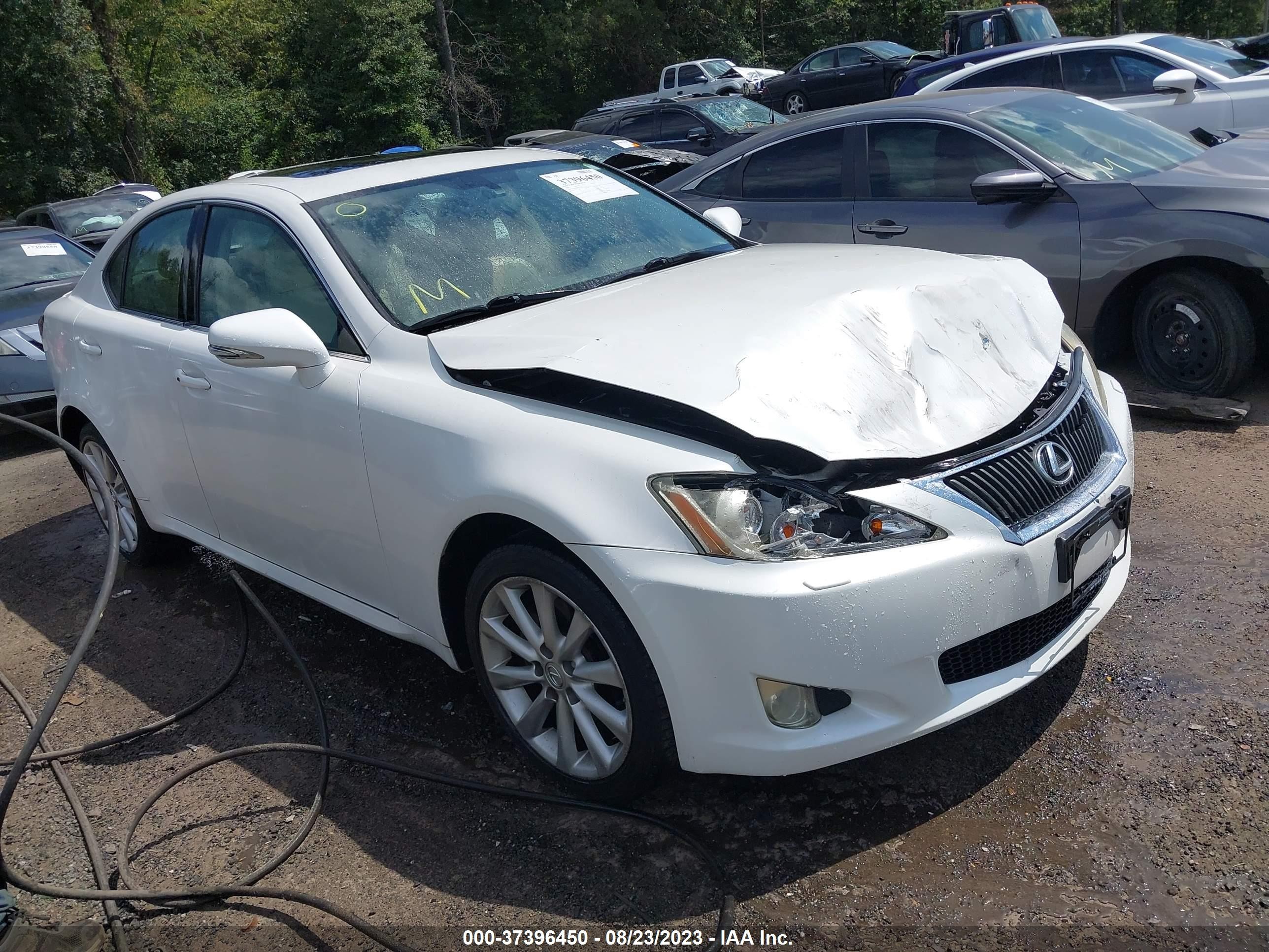 LEXUS IS 2009 jthck262092031728