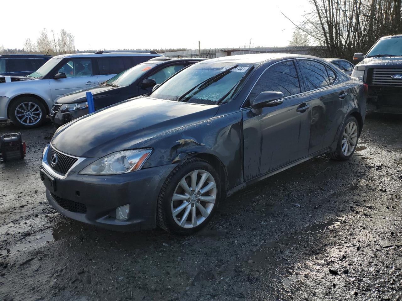 LEXUS IS 2009 jthck262195028786