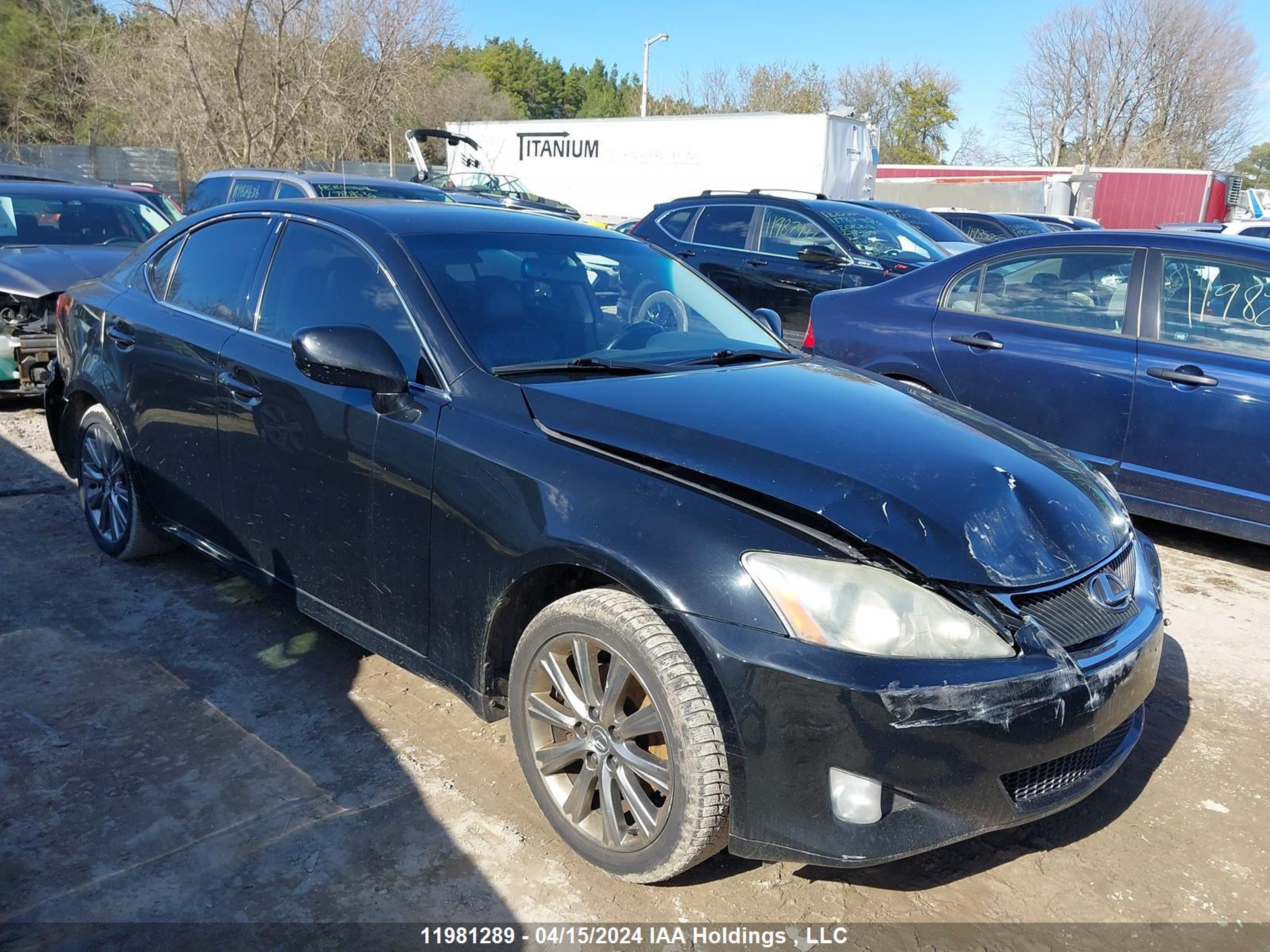 LEXUS IS 2008 jthck262382021788