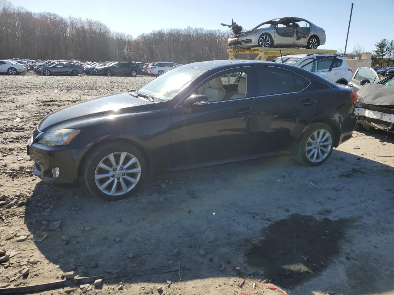 LEXUS IS 2009 jthck262595029357