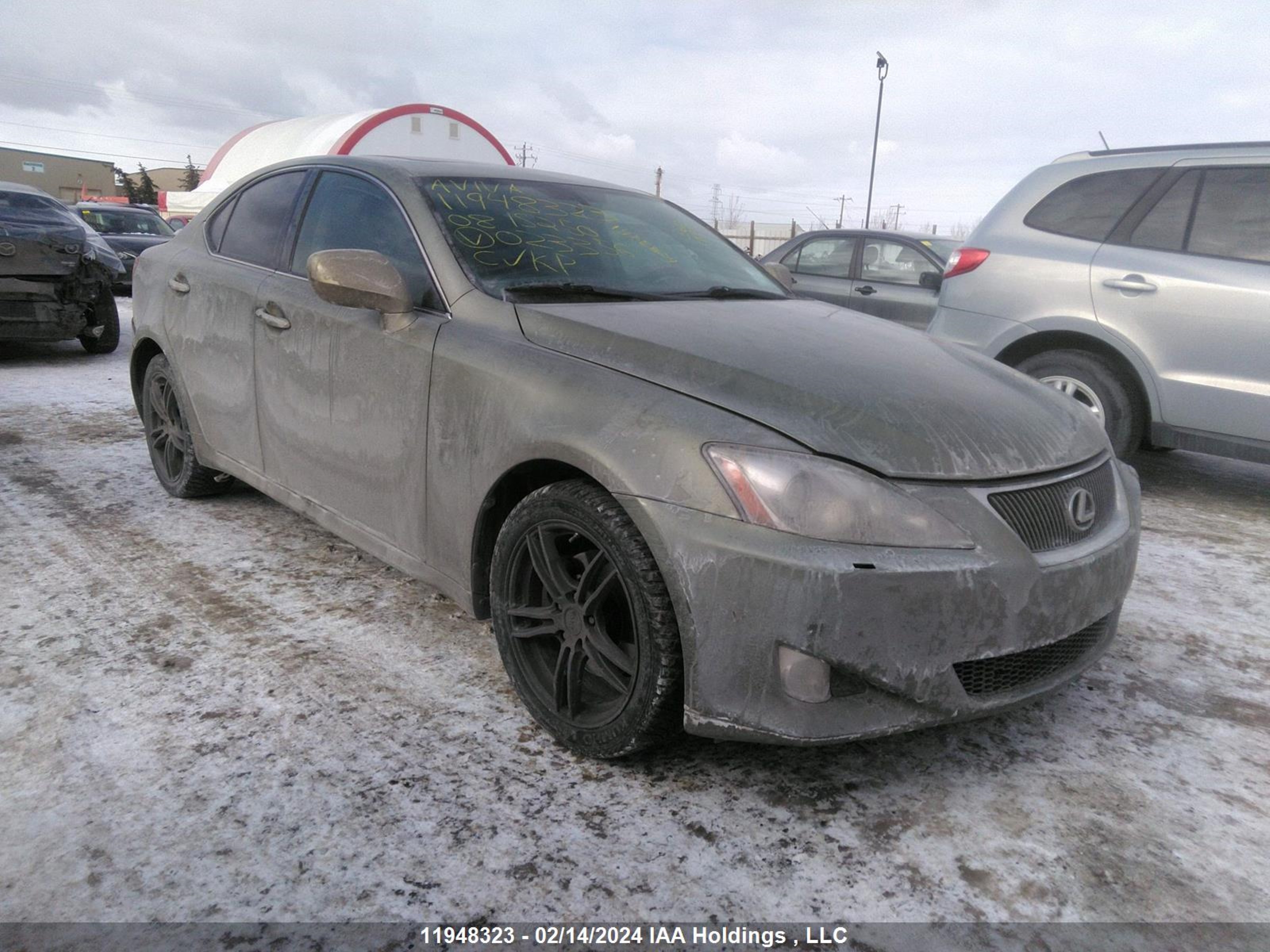 LEXUS IS 2008 jthck262682023356