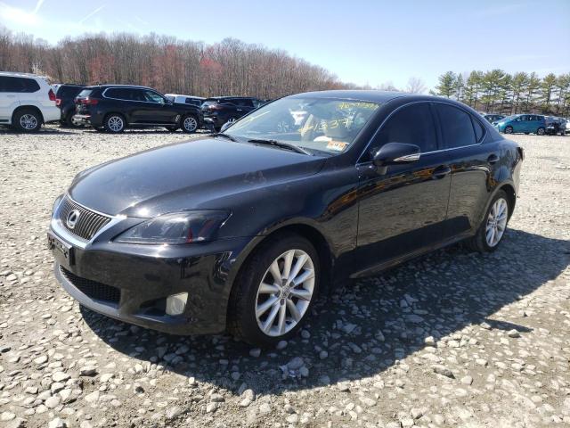 LEXUS IS 250 2009 jthck262995031337