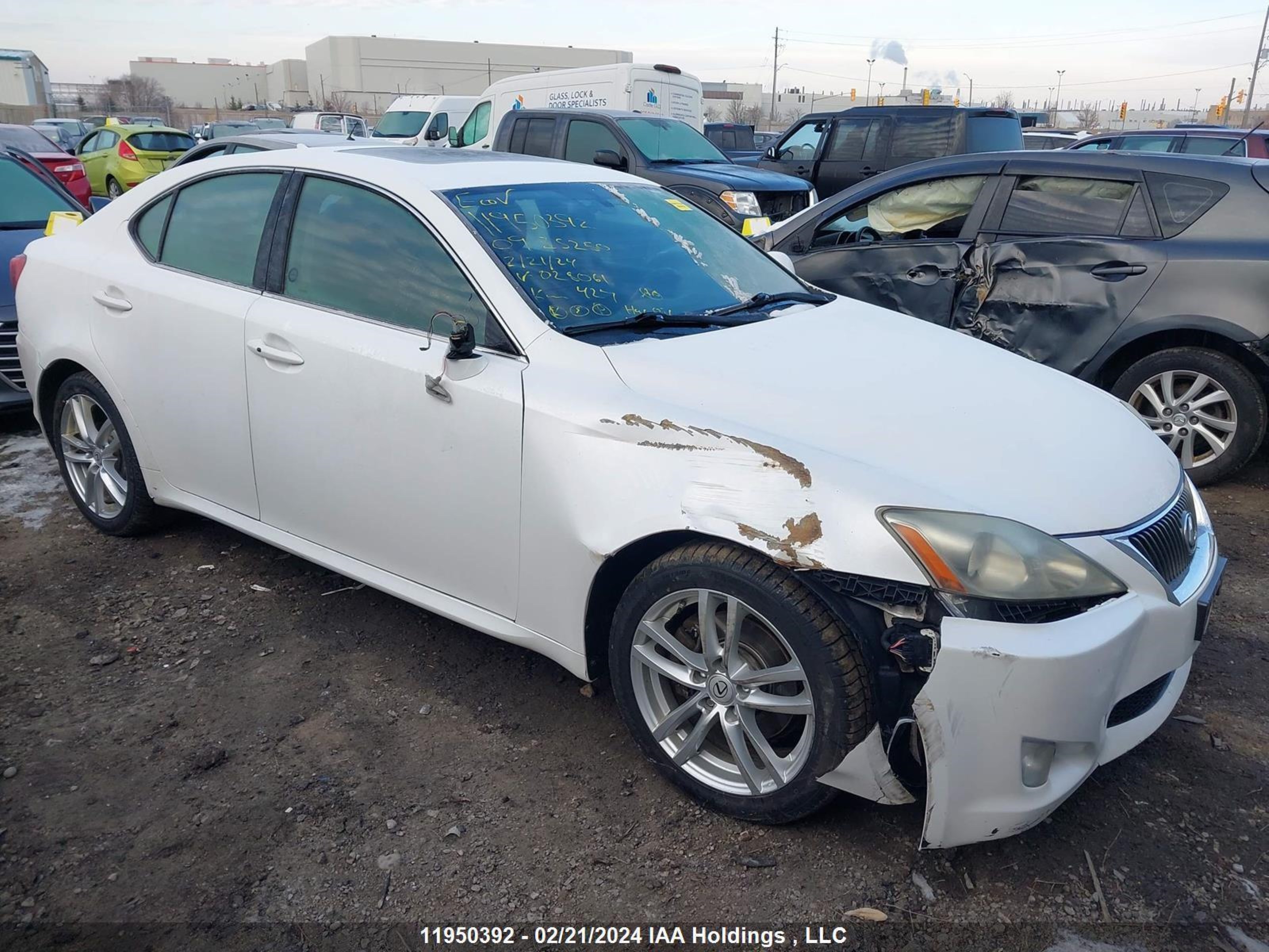 LEXUS IS 2009 jthck262x92028061