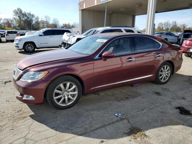 LEXUS LS460 2009 jthcl46f595003711