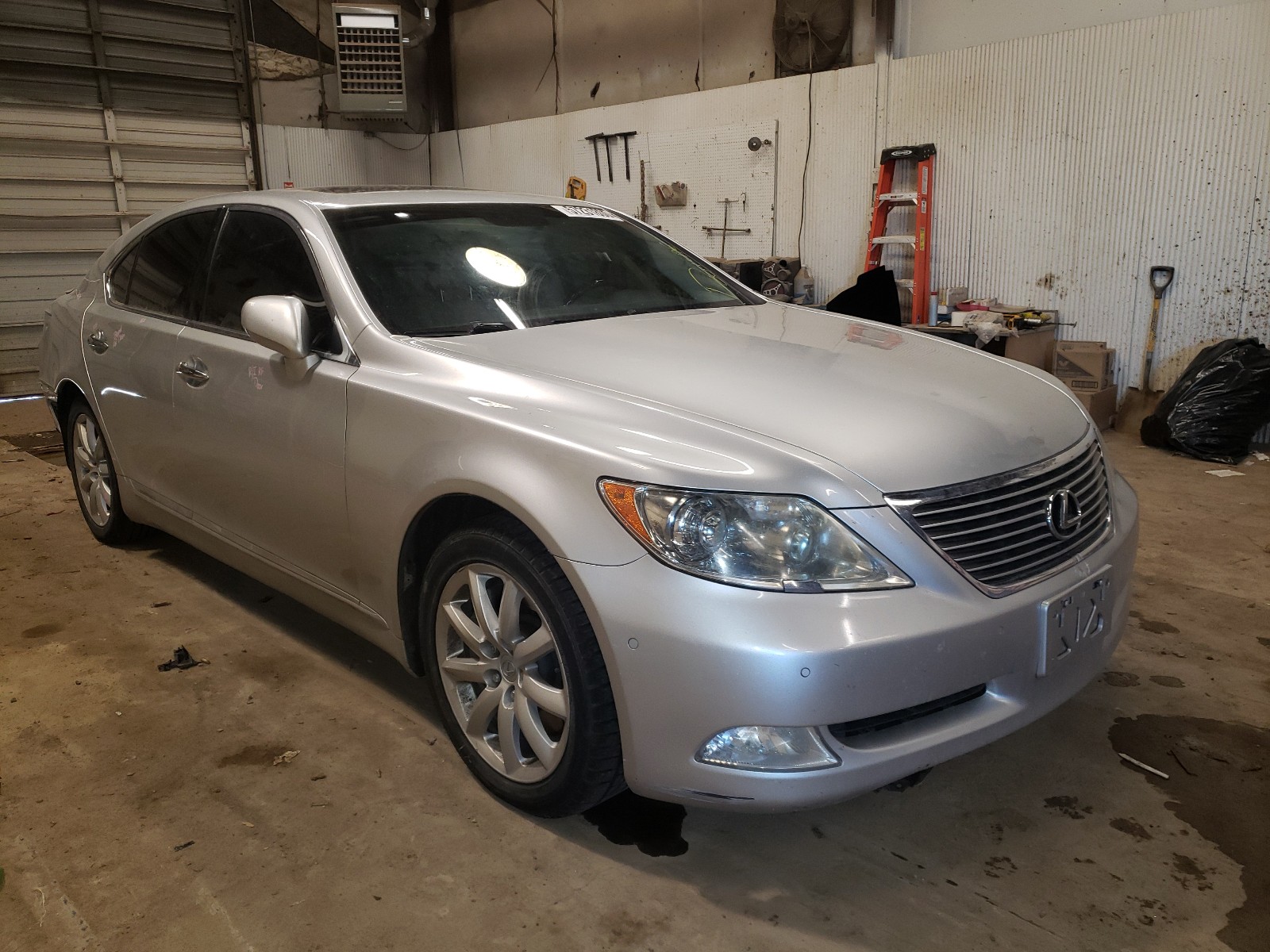 LEXUS LS 460 2009 jthcl46f695001496