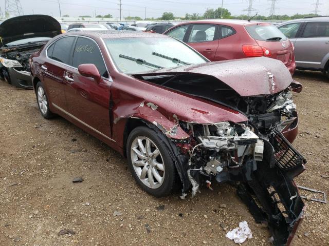 LEXUS LS 460 2009 jthcl46f895003329