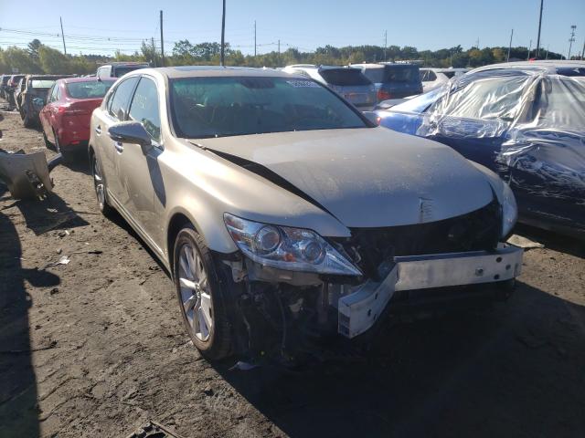 LEXUS LS 460 2010 jthcl5ef2a5008893