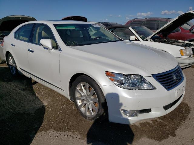 LEXUS LS 460 2012 jthcl5ef2c5012784