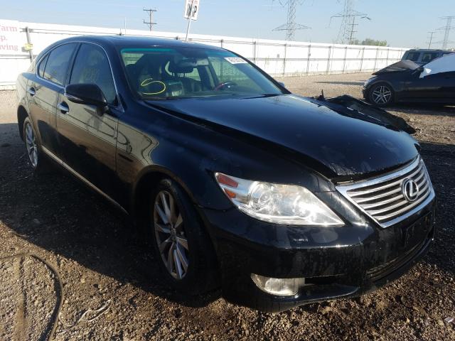 LEXUS LS 460 2010 jthcl5ef3a5007364