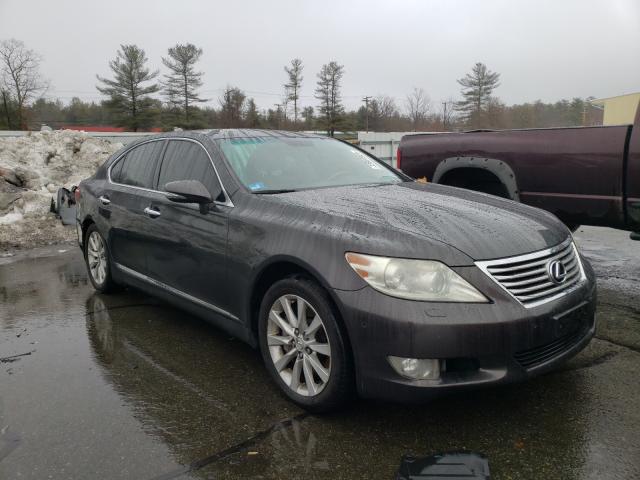 LEXUS LS 460 2010 jthcl5ef4a5004943