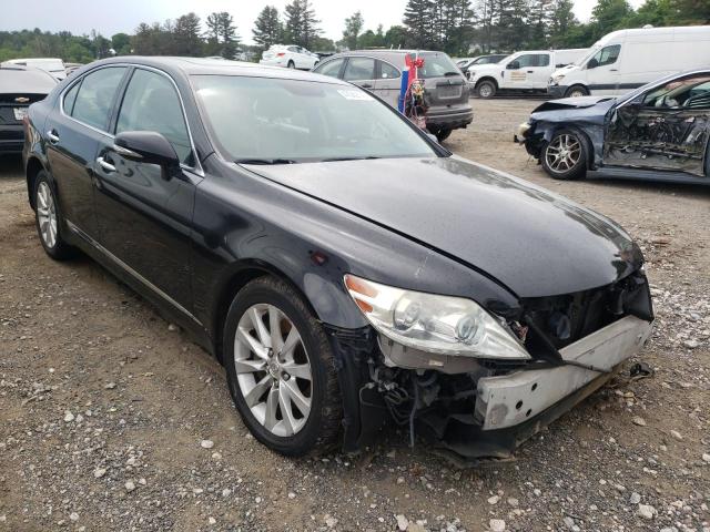 LEXUS LS 460 2010 jthcl5ef4a5006644