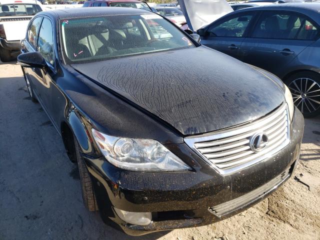 LEXUS LS 460 2010 jthcl5ef4a5008409