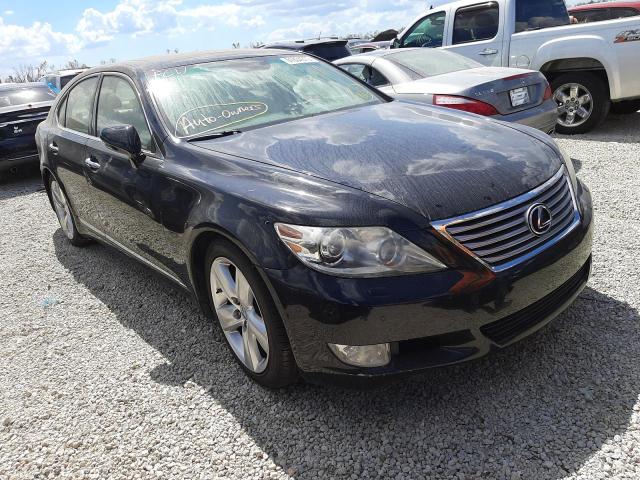 LEXUS LS 460 2010 jthcl5ef4a5008748