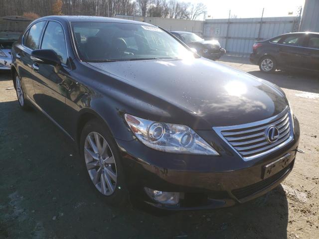 LEXUS LS 460 2011 jthcl5ef4b5009495