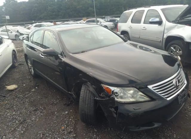 LEXUS LS 460 2011 jthcl5ef4b5010128