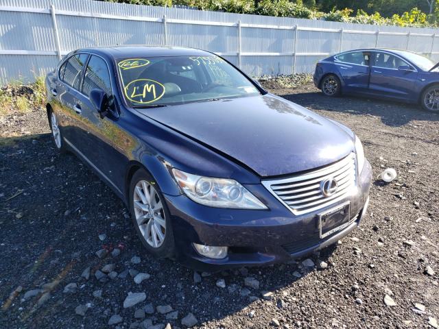 LEXUS LS 460 2010 jthcl5ef6a5004765