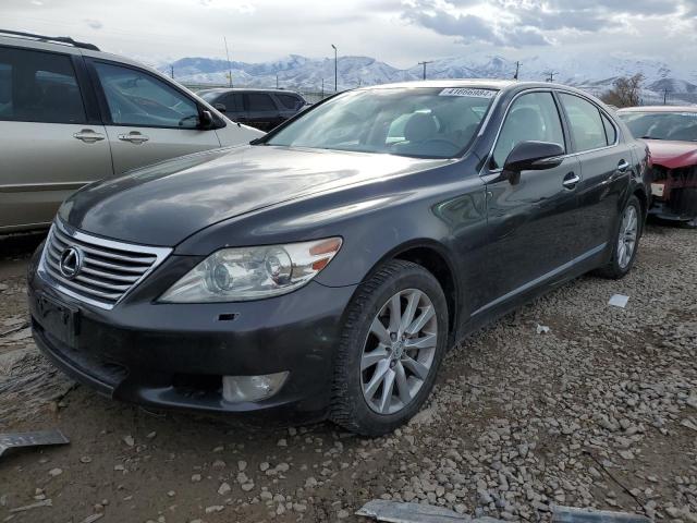 LEXUS LS460 2010 jthcl5ef6a5005043