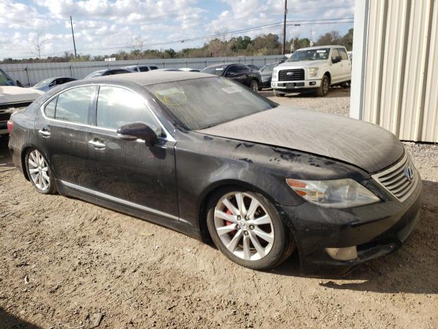 LEXUS LS 460 2010 jthcl5ef6a5005303