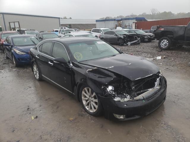 LEXUS LS 460 2010 jthcl5ef6a5007133