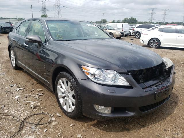 LEXUS LS 460 2010 jthcl5ef6a5007178