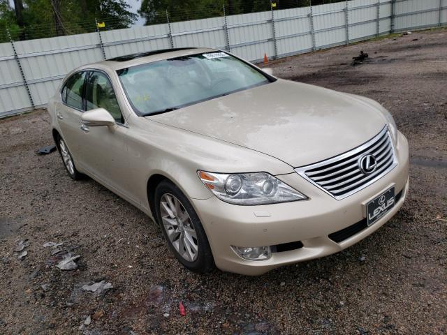 LEXUS LS 460 2011 jthcl5ef6b5011216