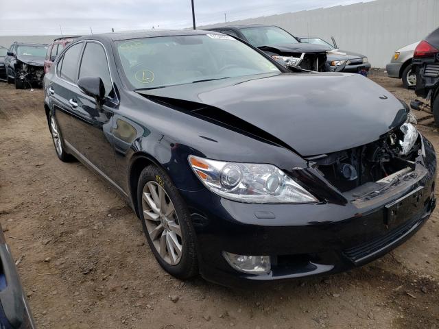 LEXUS LS 460 2012 jthcl5ef6c5013730