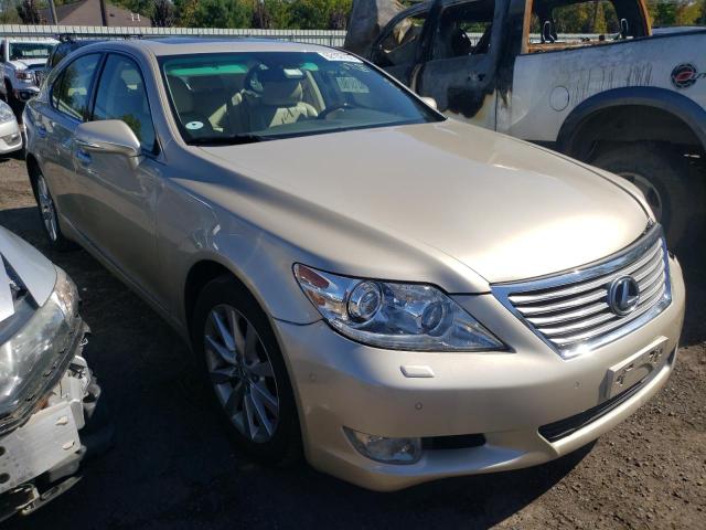 LEXUS LS 460 2010 jthcl5ef7a5007657