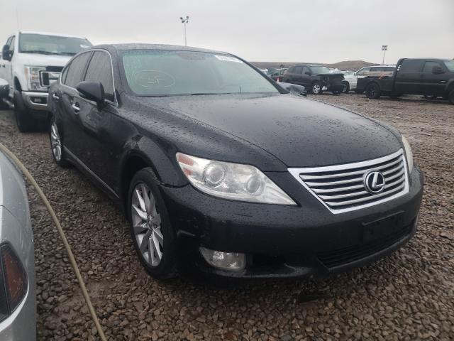 LEXUS LS 460 2010 jthcl5ef8a5005593