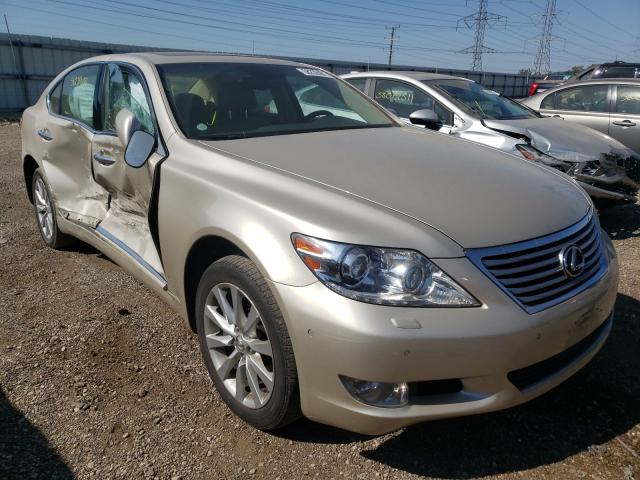 LEXUS LS 460 2010 jthcl5ef8a5008235