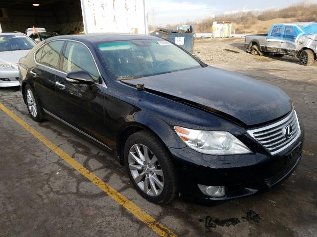 LEXUS LS 460 2010 jthcl5ef8a5008770