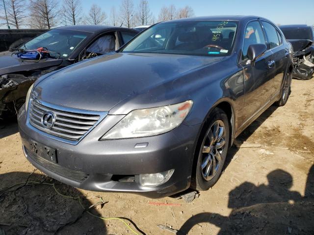 LEXUS LS 460 2012 jthcl5ef8c5012711