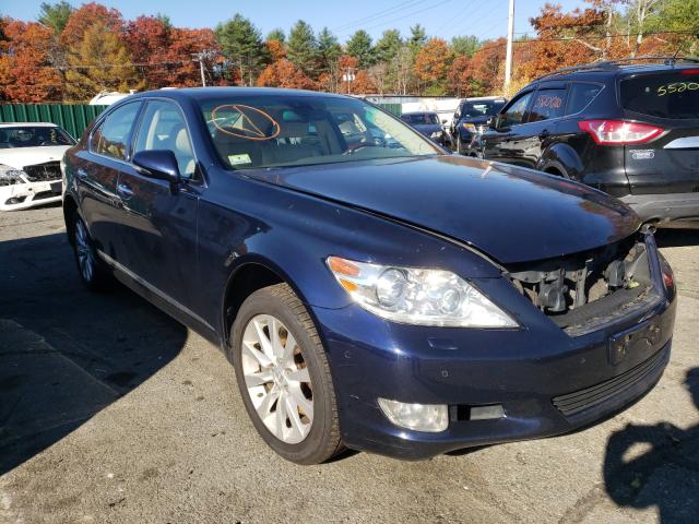 LEXUS LS 460 2010 jthcl5ef9a5004730