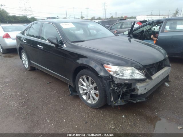 LEXUS LS 460 2010 jthcl5ef9a5005344