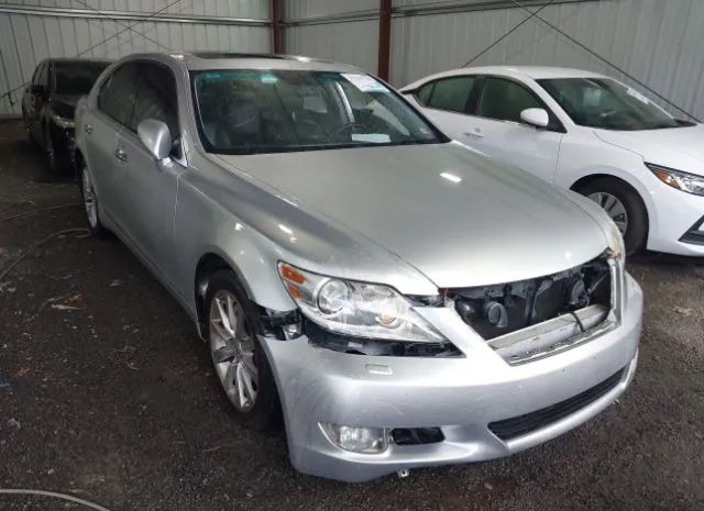 LEXUS LS 2010 jthcl5ef9a5006994